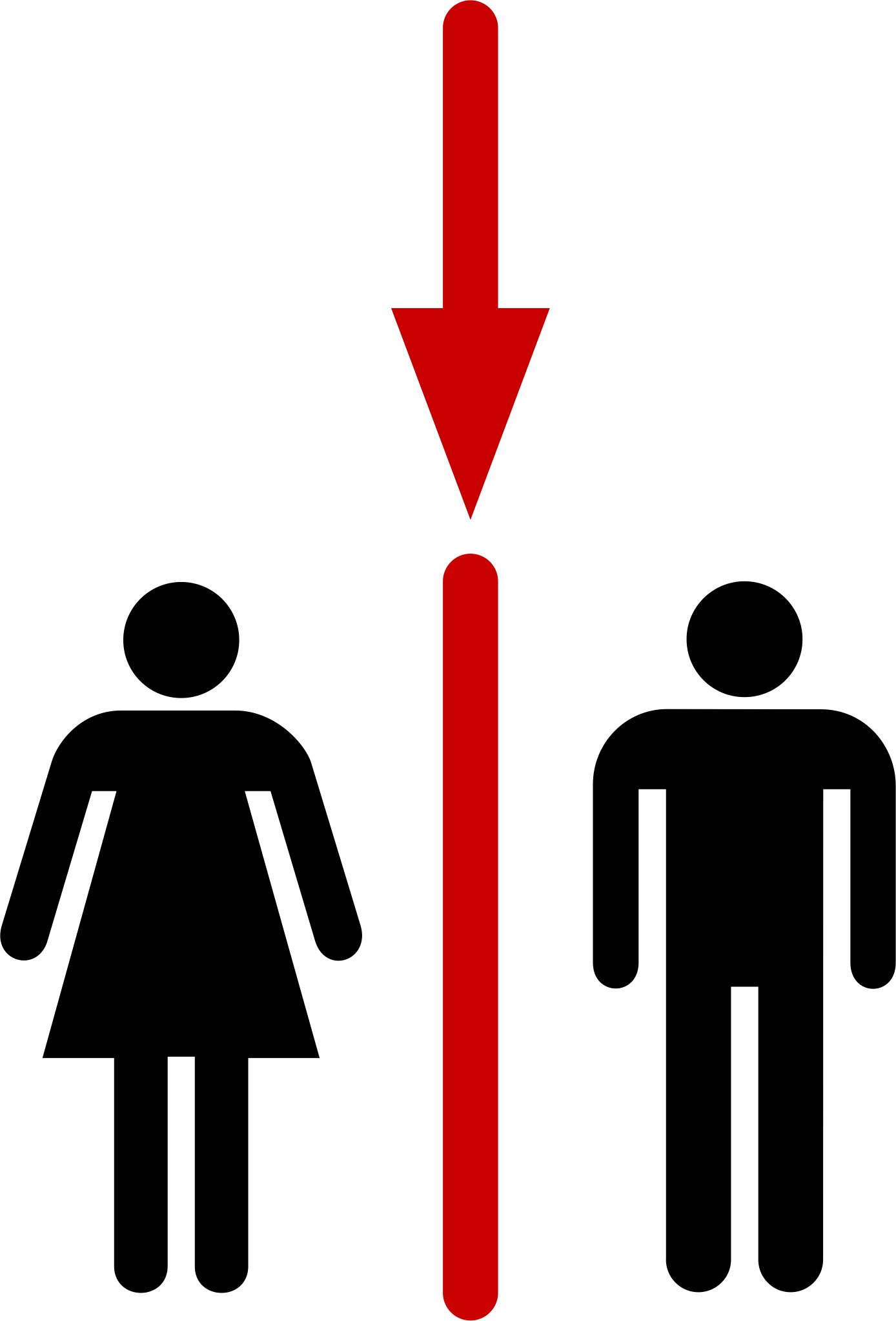 A toilet door pictogram, with a woman and a man, divided by a red line.